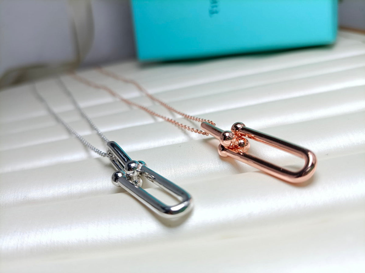 [Lioran]HARDWEAR DROP DOUBLE LINK PEDANT NECKLACE