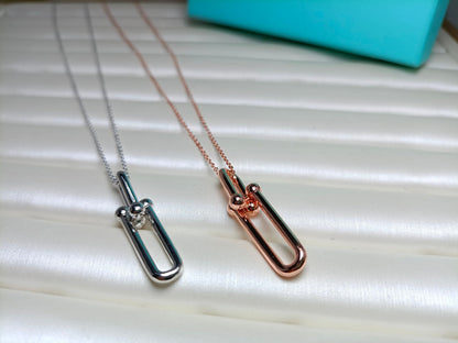 [Lioran]HARDWEAR DROP DOUBLE LINK PEDANT NECKLACE