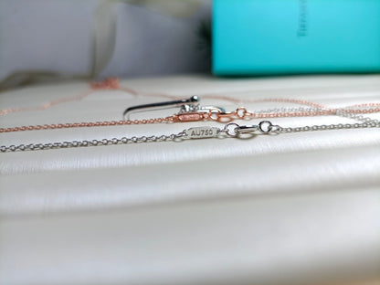 [Lioran]HARDWEAR DROP DOUBLE LINK PEDANT NECKLACE