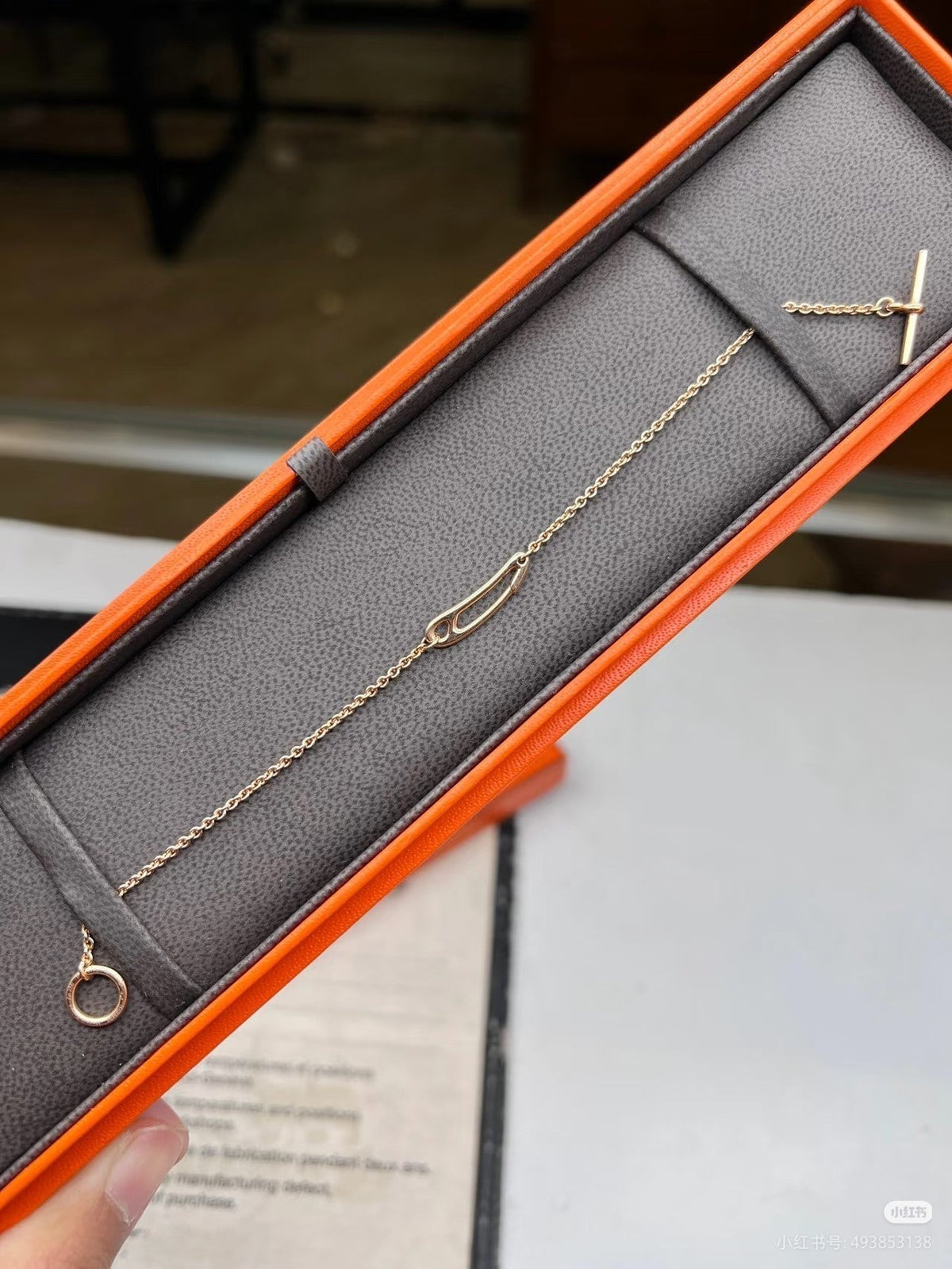 [⭐Lioran]Brooch Necklace