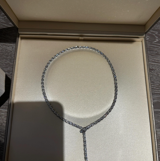 [⭐Lioran]NEW！SERPENT DIAMOND NECKLACE