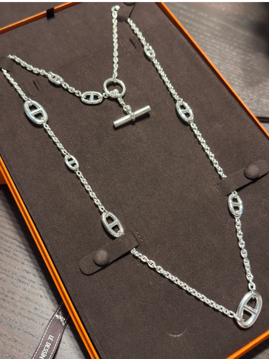 [⭐Lioran]Classic Silver Sweater Chain